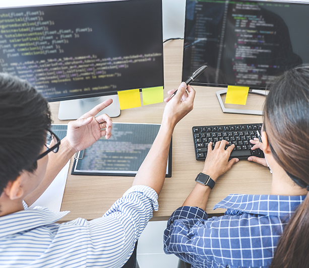 professional programmers working together on the computer